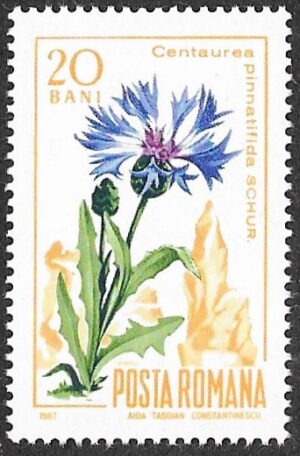 Romania. 1967 Mountain Flora. 20B. MNH. Mi2594