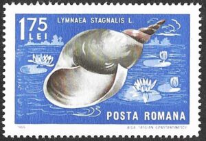 Romania. 1966 Crabs and Snails. 1.75L. MNH. Mi2550