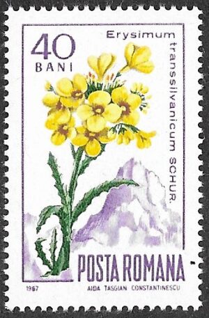 Romania. 1967 Mountain Flora. 40B. MNH. Mi2595