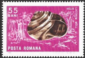 Romania. 1966 Crabs and Snails. 55B. MNH. Mi2548