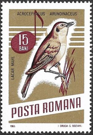 Romania. 1966 Songbirds. 15B. MNH. Mi2502