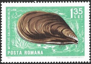 Romania. 1966 Crabs and Snails. 1.35L. MNH. Mi2549