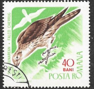Romania. 1967 Birds of Prey. 40B. Cancelled. Mi2570