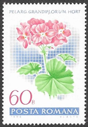 Romania. 1968 Flowers - Geraniums. 60B. MNH. Mi 2690