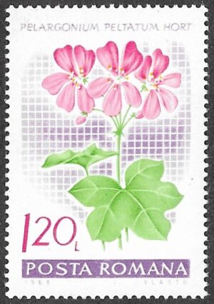 Romania. 1968 Flowers - Geraniums. 1.20L. MNH. Mi 2691