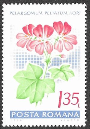 Romania. 1968 Flowers - Geraniums. 1.35L. MNH. Mi 2692