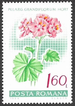 Romania. 1968 Flowers - Geraniums. 1.60L. MNH. Mi 2693