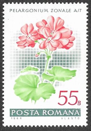 Romania. 1968 Flowers - Geraniums. 55B. MNH. Mi 2689