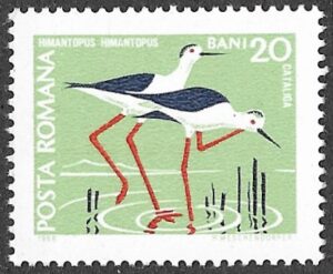 Romania. 1968 Protected Animals. 20B. MNH. Mi 2725