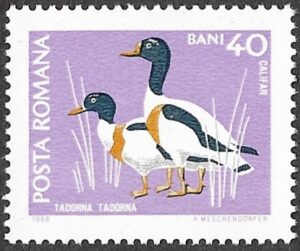 Romania. 1968 Protected Animals. 40B. MNH. Mi 2726