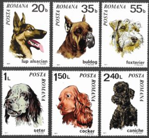 Romania. 1971 Dogs. MNH. Mi 2908-2913