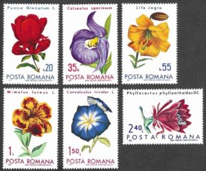 Romania. 1971 Flowers - Bucharest Botanical Garden. MNH. Mi 2940-2945